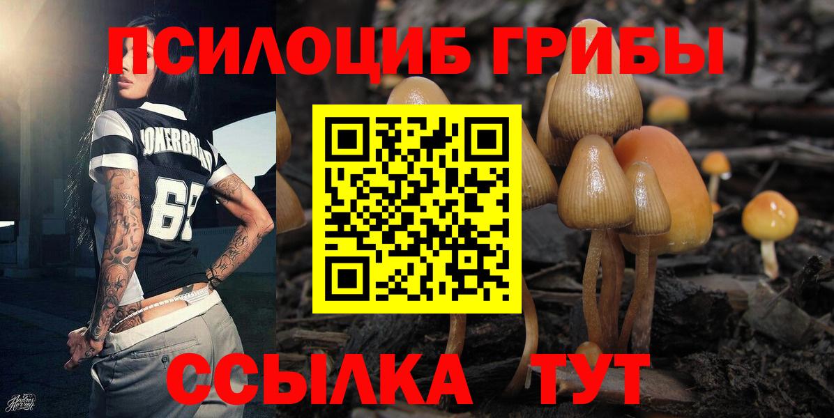 Майкоп  Галлюциногенные грибы ЛСД  Вход с VPN 