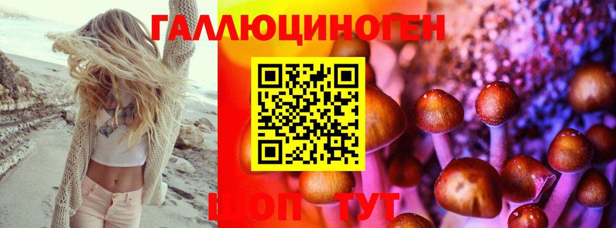 Галлюциногенные грибы прущие грибы Майкоп
